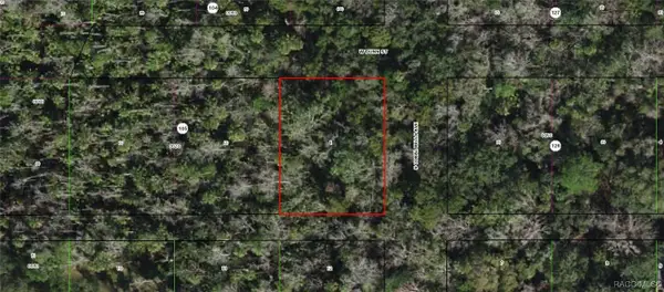 10388 W Dunn Street, Homosassa, FL 34448