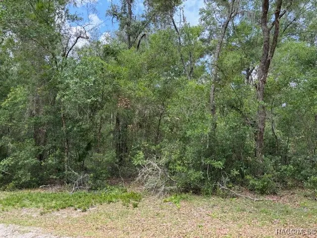 9704 N Feigel Terrace, Crystal River, FL 34428 - Image #3