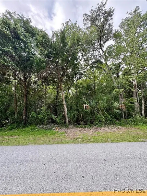 1423 NW 19th Street, Crystal River, FL 34428