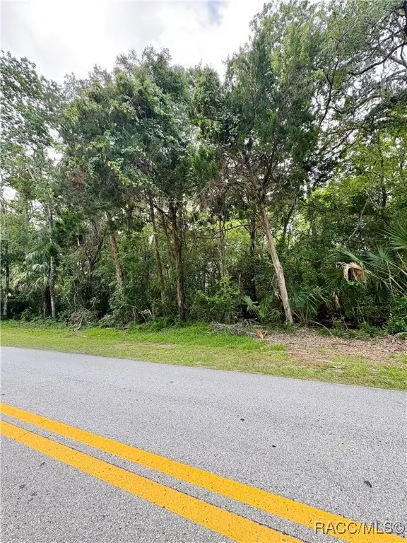 1423 NW 19th Street, Crystal River, FL 34428 - Image #3