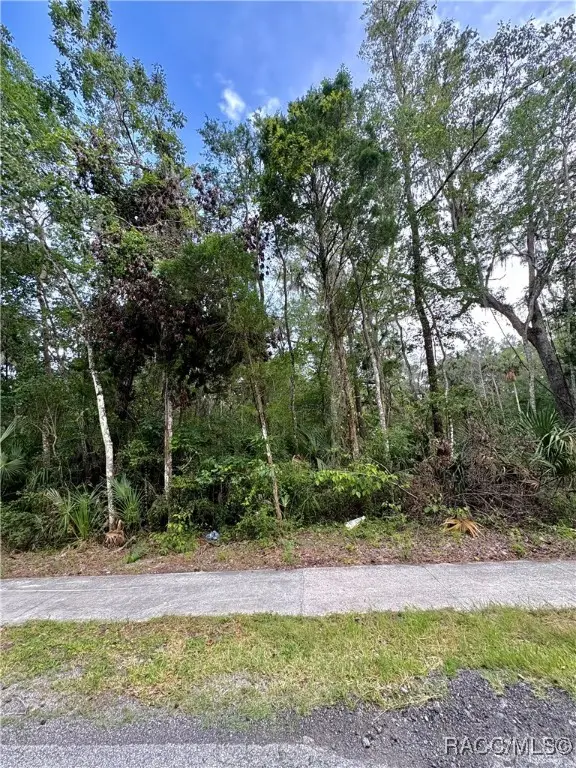 1430 NW 19th Street, Crystal River, FL 34428 - Image #2