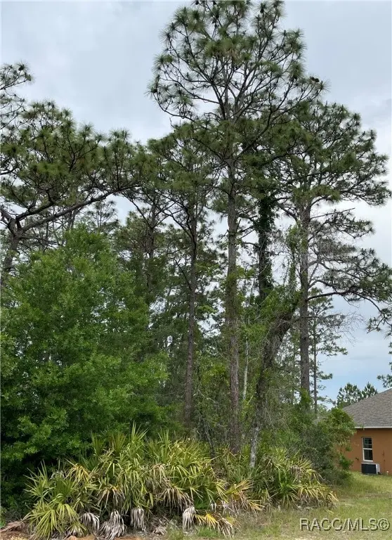 12 Mangrove Court S, Homosassa, FL 34446 - Image #2