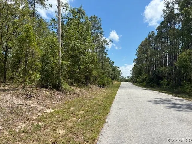 TBD SW Southview Court, Dunnellon, FL 34431 - #3
