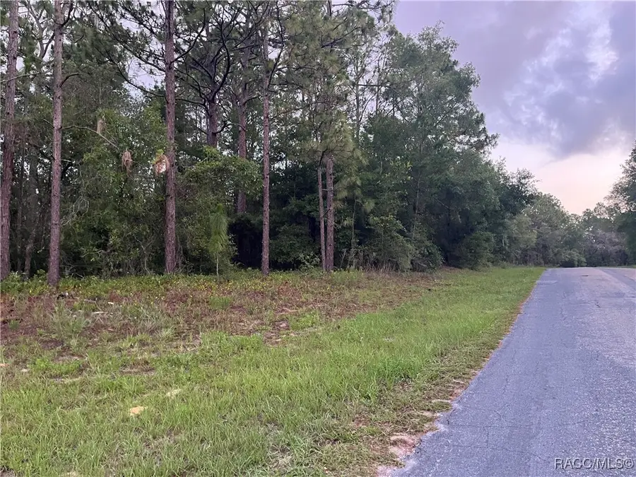 9553 N Travis Drive, Citrus Springs, FL 34434 - Image #2