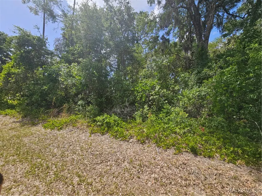 2828 E Chartwell Circle, Hernando, FL 34442 - Image #2