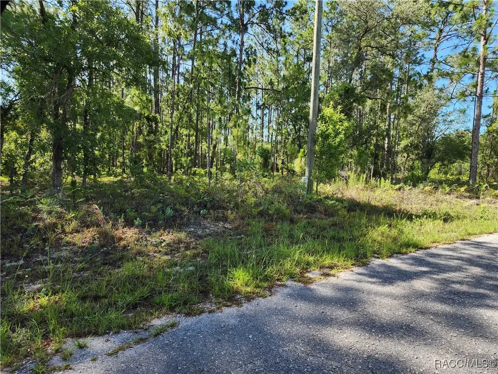 1476 W Diamond Drive, Citrus Springs, FL 34434 - #1