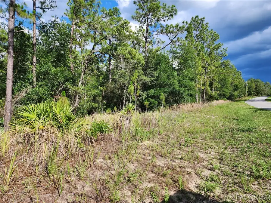 11107 N Mataro Avenue, Citrus Springs, FL 34434 - Image #2