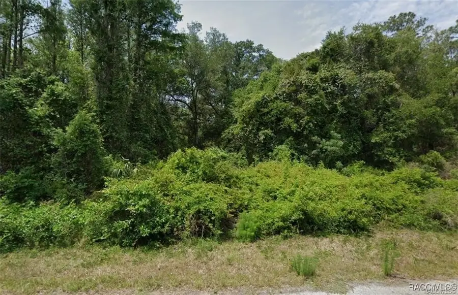 9296 N Black Oak Way, Crystal River, FL 34428 - Image #2