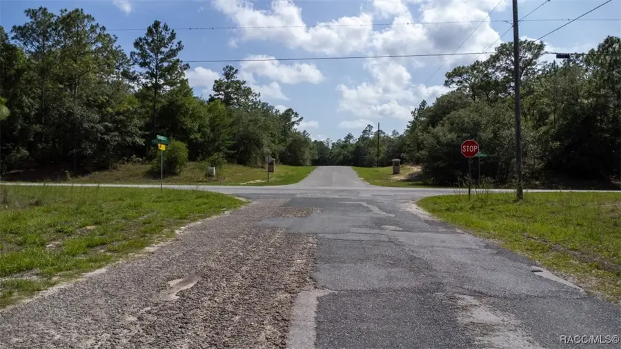 405 W G Martinelli Boulevard, Citrus Springs, FL 34434 - Image #3