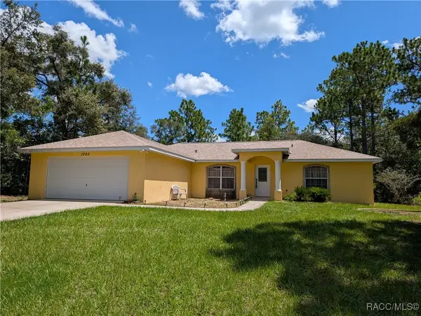 1293 W Hampshire Boulevard, Citrus Springs, FL 34434