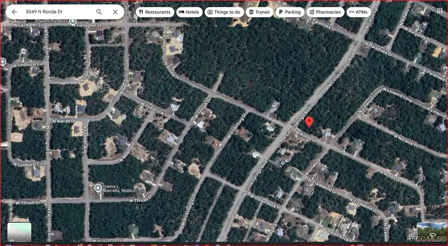 8549 N Ronda Drive, Citrus Springs, FL 34434 - Image #2