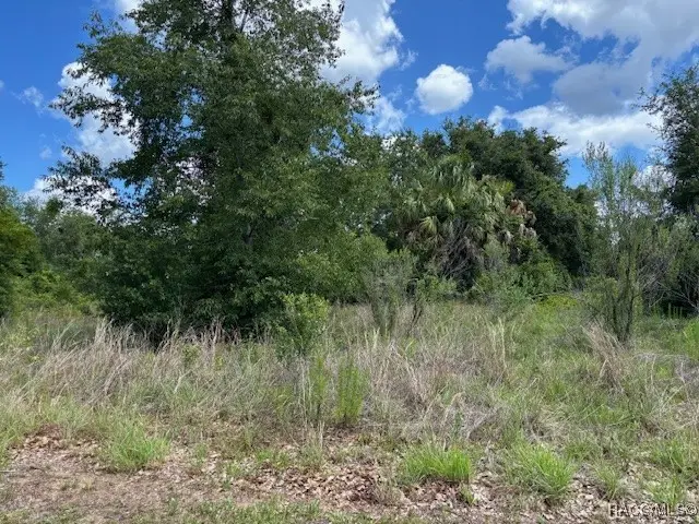 4279 E Texas Street, Hernando, FL 34442 - #3