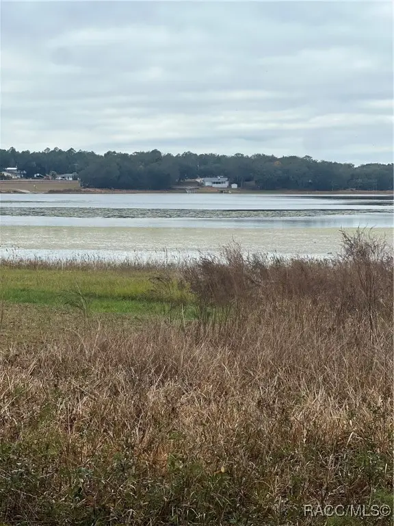 Lot 291.292 Shorewood Drive, Dunnellon, FL 34431