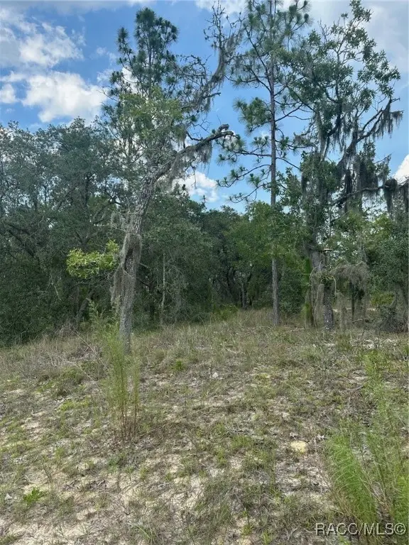 869 N Kensington Avenue, Lecanto, FL 34461 - Image #2