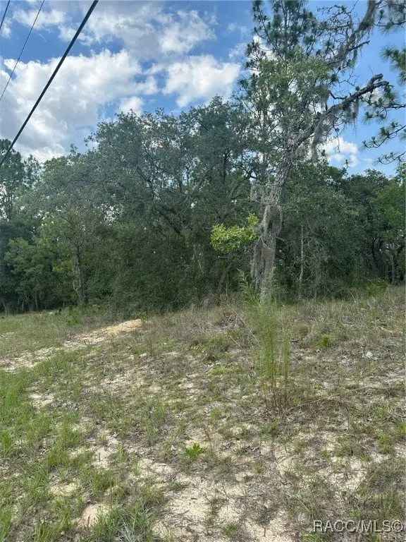 869 N Kensington Avenue, Lecanto, FL 34461 - Image #3