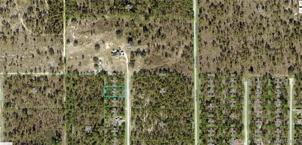 16483 Little Dove Road, Weeki Wachee, FL 34614