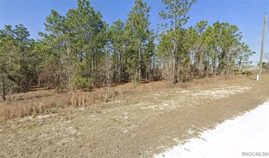 16483 Little Dove Road, Weeki Wachee, FL 34614 - Image #3