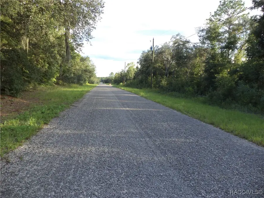 6402 N Matheson Drive, Citrus Springs, FL 34434 - #3