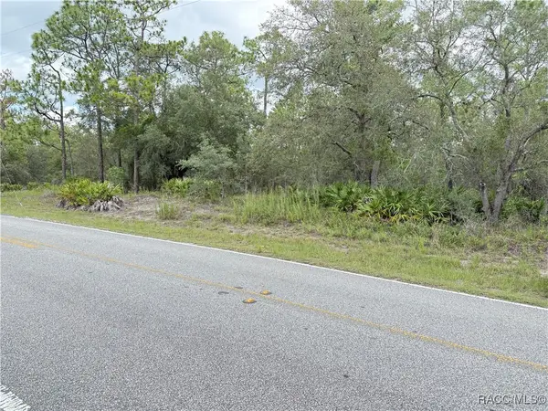 0 Fulton Avenue, Weeki Wachee, FL 34613