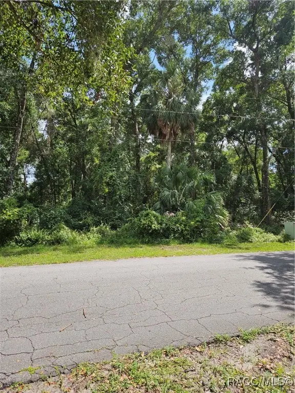 8488 E Henderson Trail, Inverness, FL 34450 - Image #1