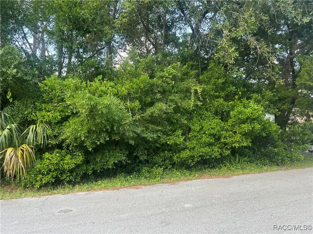 11 Jamaica Street, Homosassa, FL 34446 - Image #1