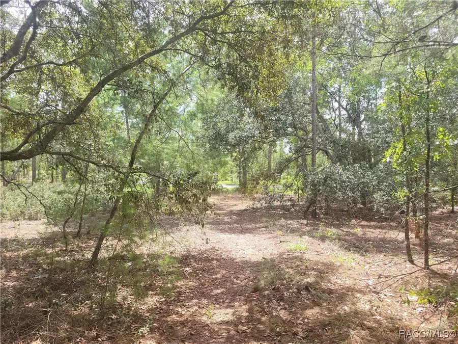 41 Boxleaf Court, Homosassa, FL 34446 - Image #3