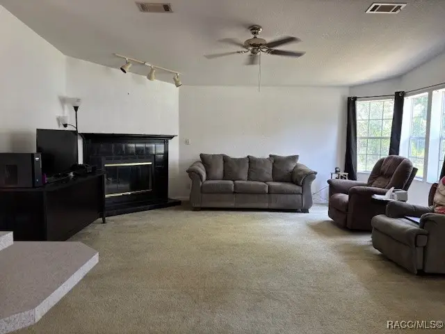 5317 S Bayliner Point, Homosassa, FL 34446 - Image #2