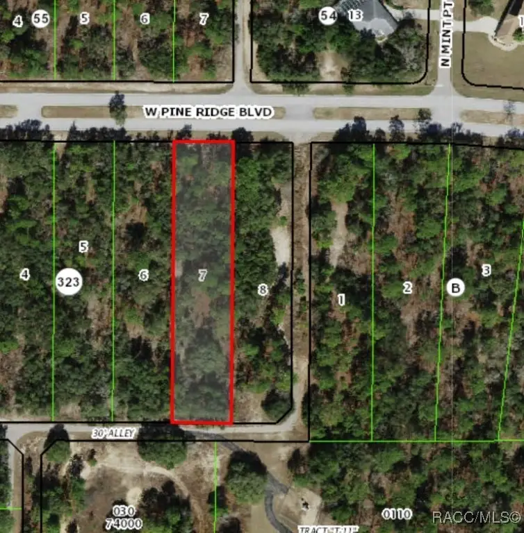 3064 W Pine Ridge Boulevard, Beverly Hills, FL 34465 - Image #2
