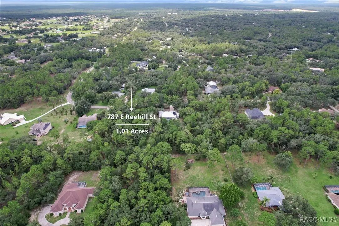 787 E Reehill Street, Lecanto, FL 34461 - Image #1