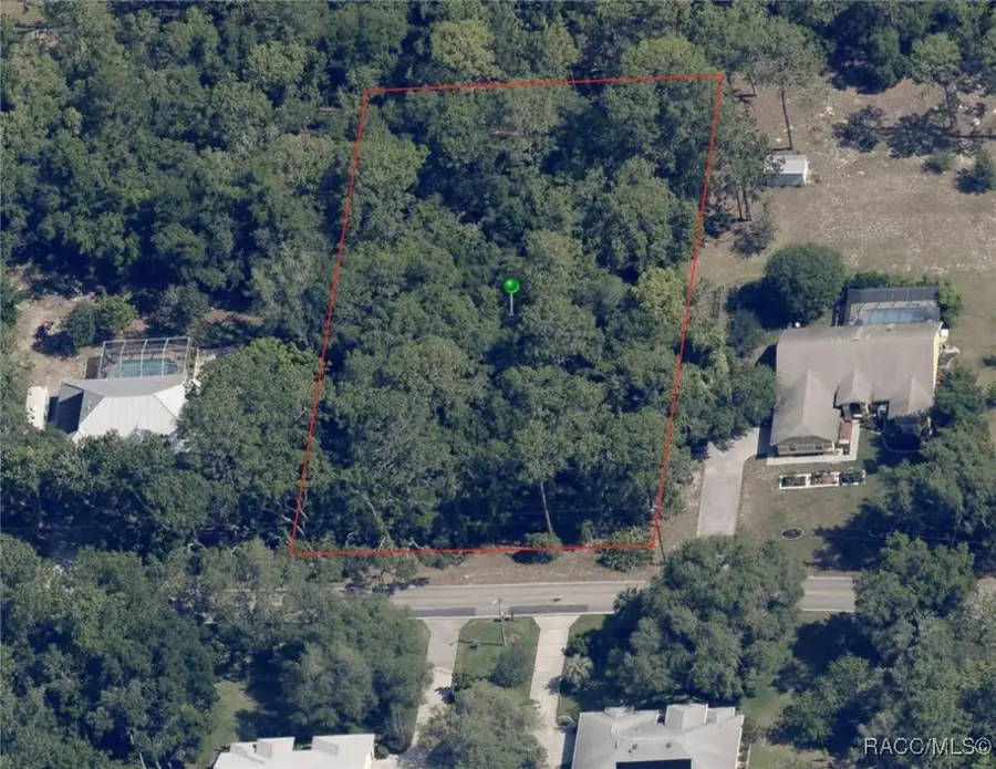 787 E Reehill Street, Lecanto, FL 34461 - Image #2