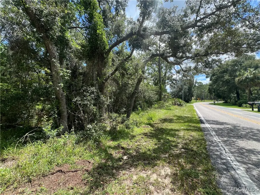 787 E Reehill Street, Lecanto, FL 34461 - Image #3