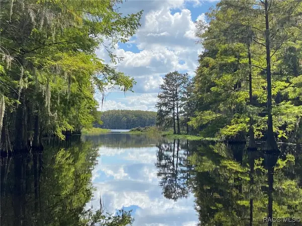 10597 & 10601 E Turtle Lane, Floral City, FL 34436