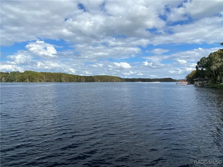 10597 & 10601 E Turtle Lane, Floral City, FL 34436 - Image #3