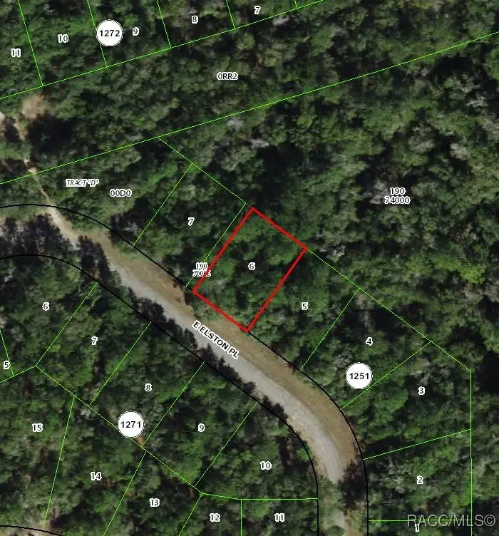 863 E Elston Place, Citrus Springs, FL 34434 - Image #1