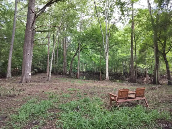 523 S Tuck Point, Inverness, FL 34450