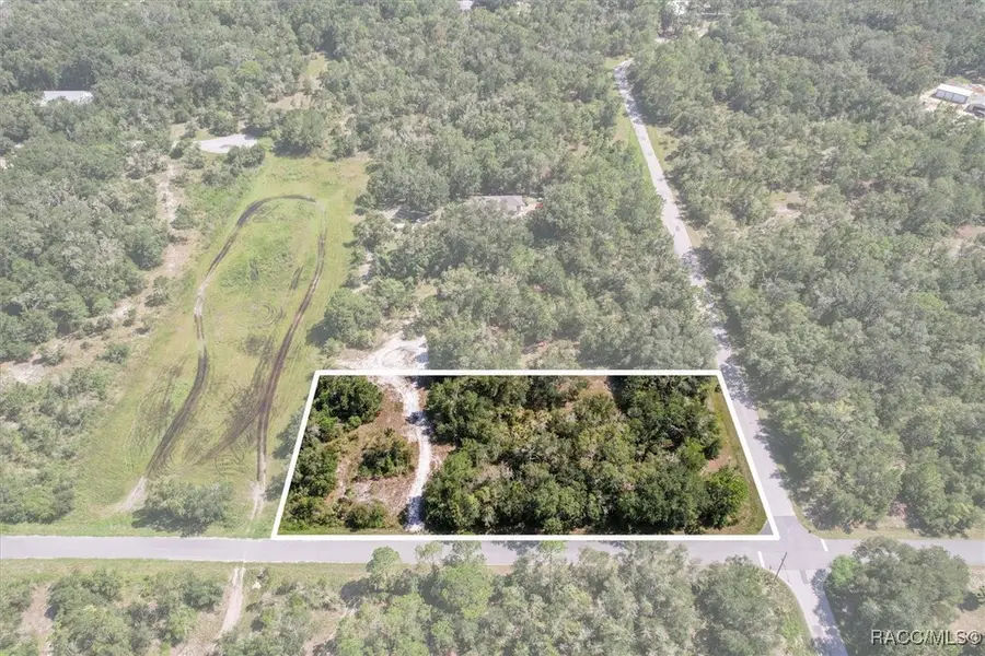 9597 N Alder Avenue, Crystal River, FL 34428 - Image #3
