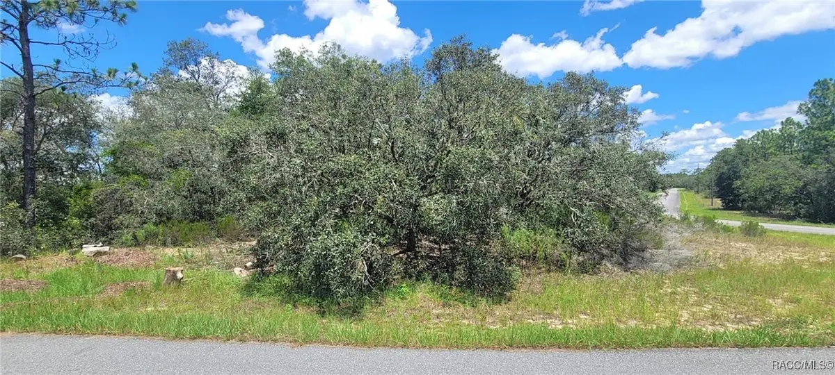 11250 N Ely Point, Citrus Springs, FL 34433 - #1