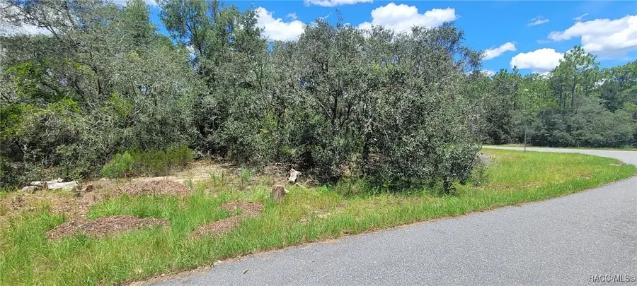 11250 N Ely Point, Citrus Springs, FL 34433 - #2