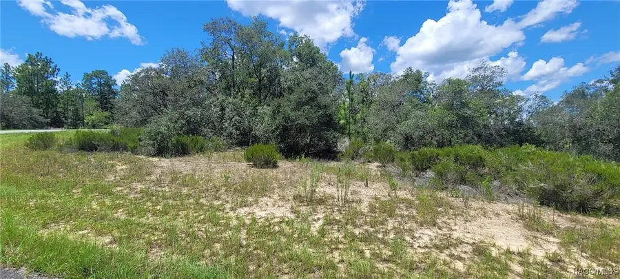 11250 N Ely Point, Citrus Springs, FL 34433 - #3