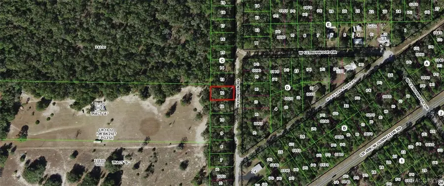 10366 N Dunedin Road, Dunnellon, FL 34433 - #2