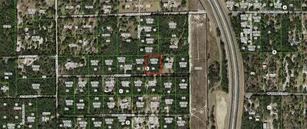 4203 W Donali Court, Homosassa, FL 34446