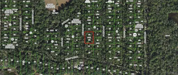 4013 S Curlew Terrace, Inverness, FL 34450
