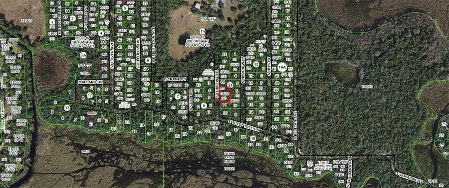 4013 S Curlew Terrace, Inverness, FL 34450 - Image #2