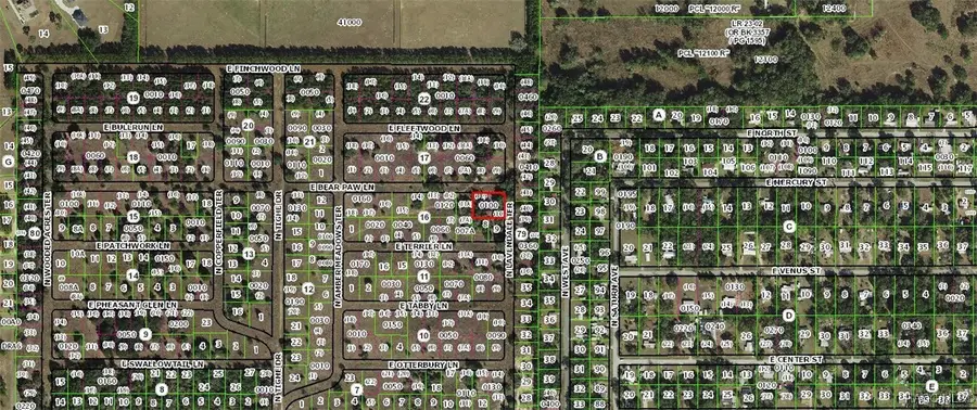 2376 E Bear Paw Lane, Inverness, FL 34453 - #2