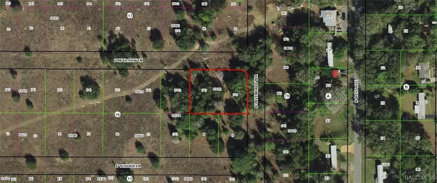2376 E Bear Paw Lane, Inverness, FL 34453 - #3