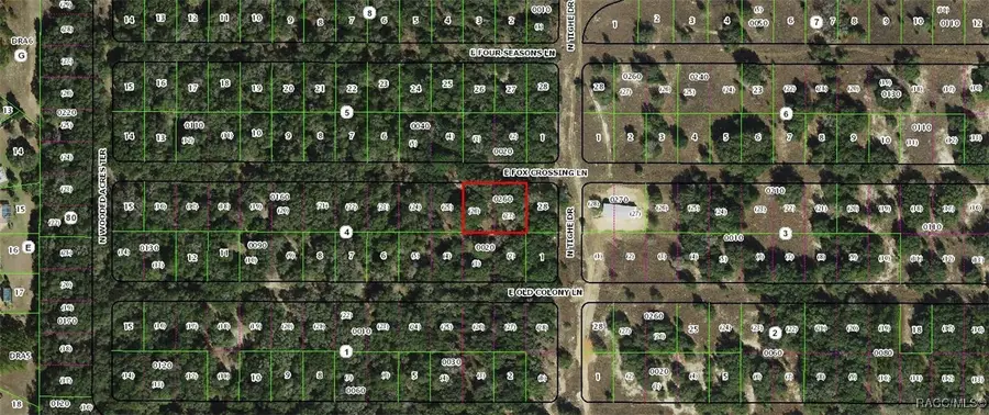 2110 E Fox Crossing Lane, Inverness, FL 34453 - #3