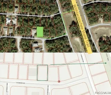 2255 W Ingrid Lane, Citrus Springs, FL 34434 - Image #1