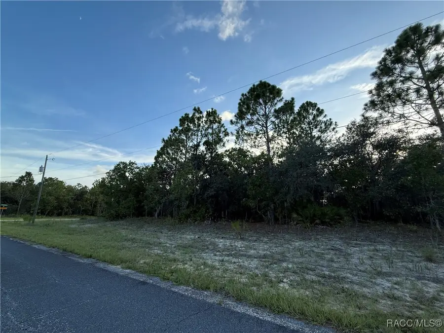 3368 N Buckhorn Drive, Beverly Hills, FL 34465 - Image #3