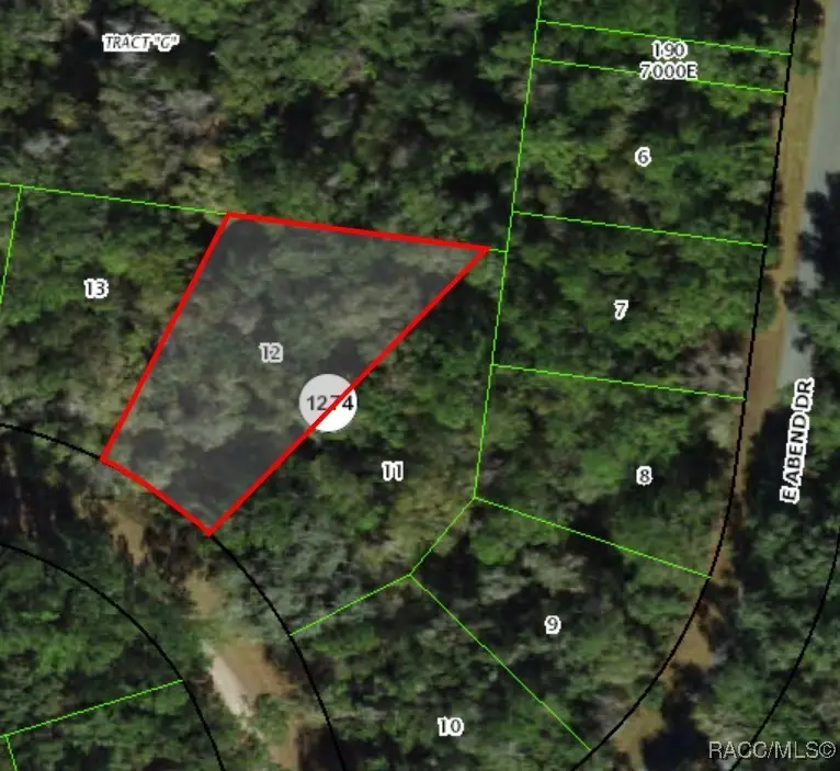893 E Byrd Loop, Dunnellon, FL 34434 - Image #2