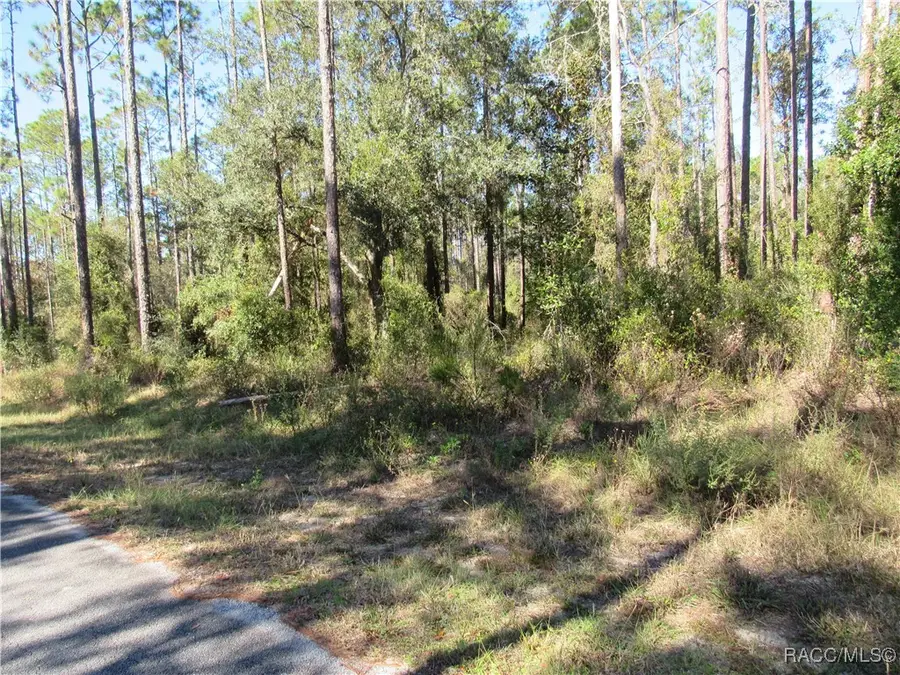 0000 SW Nautilus Boulevard, Dunnellon, FL 34431 - Image #2